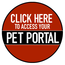 Pet Portal