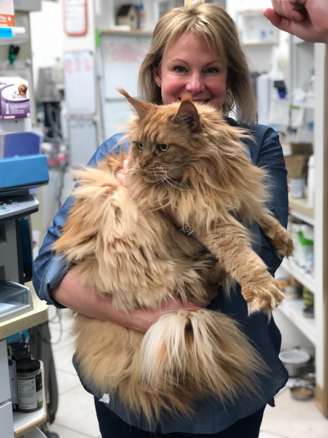 Kristi Bernhardt, DVM