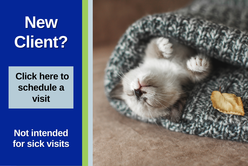 New Client? Click Here To Schedule A Visit