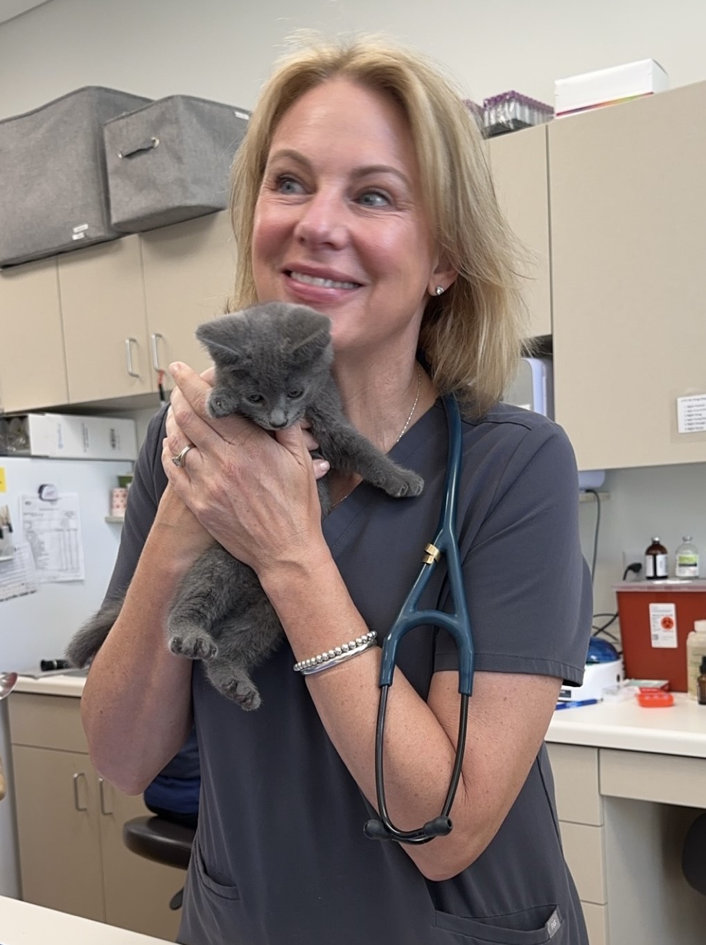 Kristi Bernhardt, DVM Kristi Bernhardt, DVM